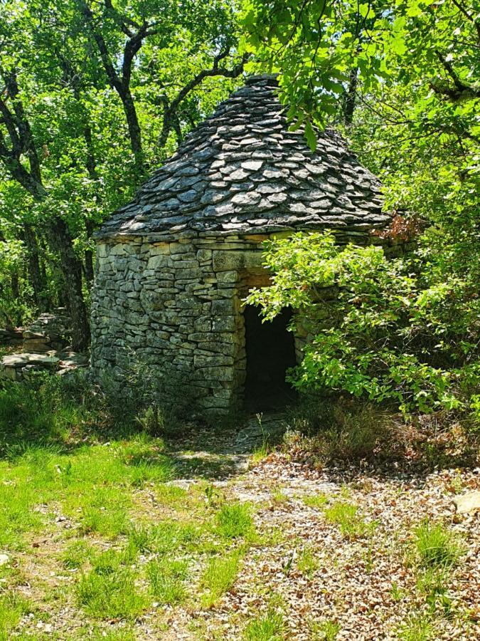 La Maison De Lalouette Forcalquier Buitenkant foto